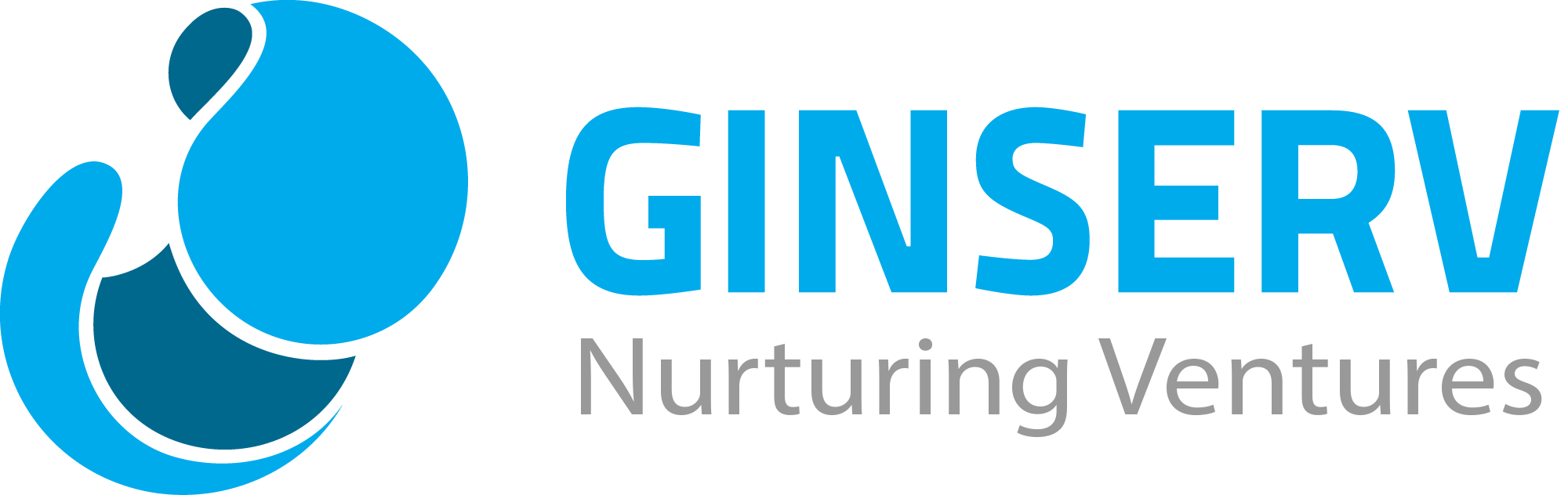 About Ginserv - Support organizations for Small business in Bangalore